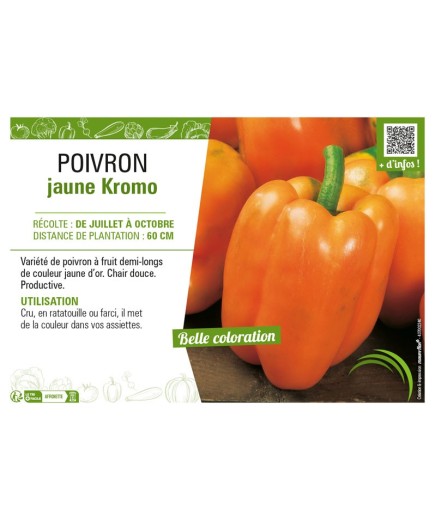 POIVRON JAUNE KROMO