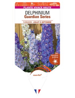 DELPHINIUM Guardian Series