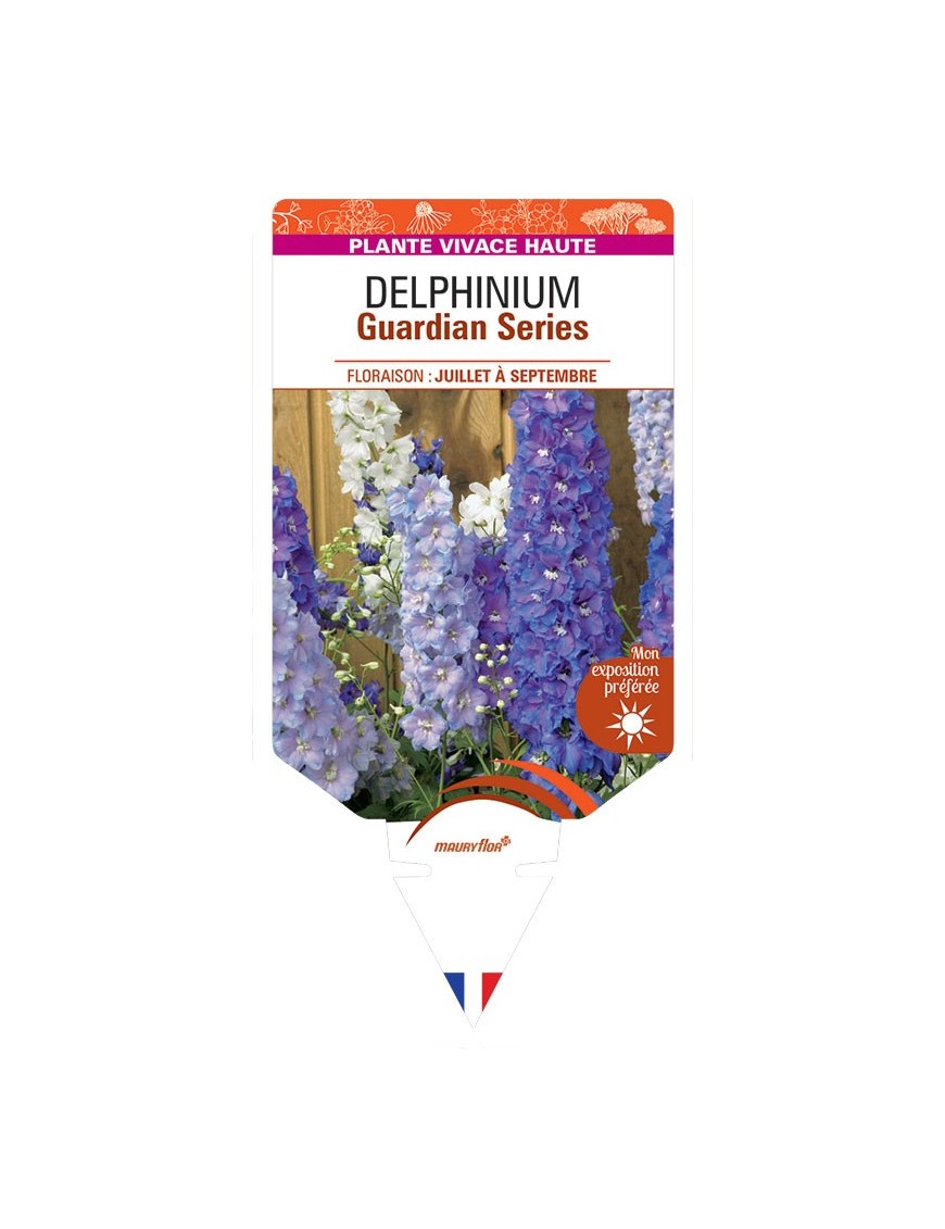 DELPHINIUM Guardian Series