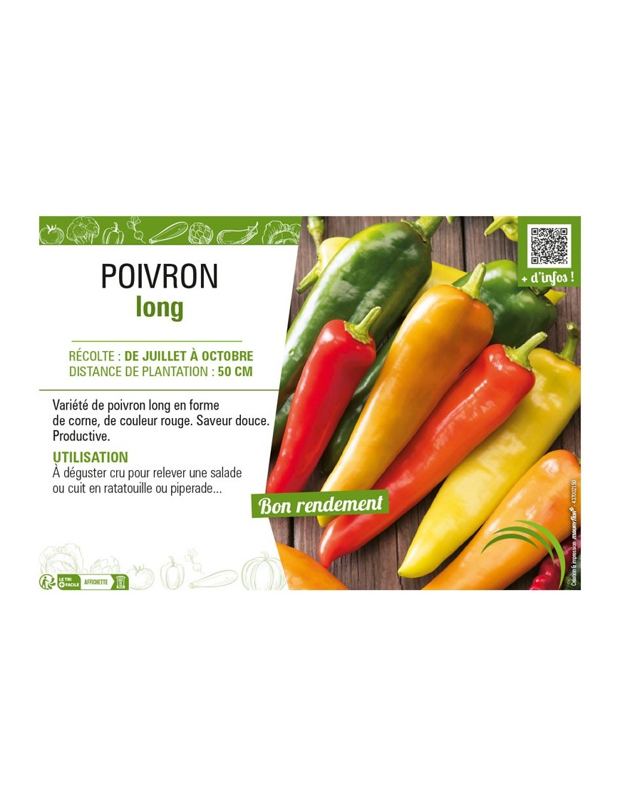 POIVRON LONG (DOUX)