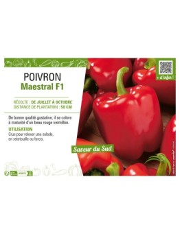POIVRON MAESTRAL F1