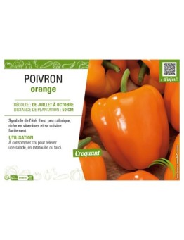 POIVRON ORANGE