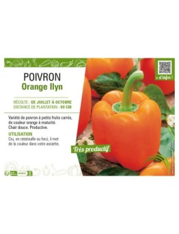 POIVRON ORANGE ILYN