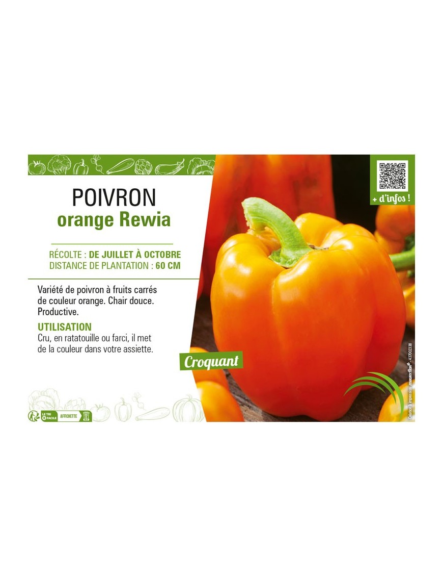 POIVRON ORANGE REWIA