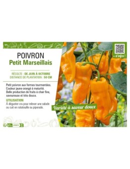 POIVRON PETIT MARSEILLAIS