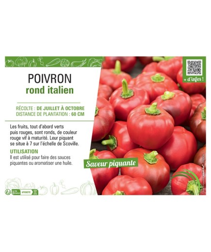 Poivron rond italien