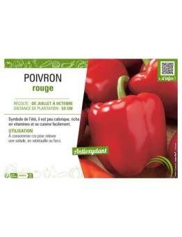 POIVRON ROUGE