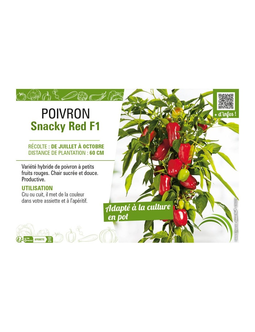 POIVRON SNACKY RED F1