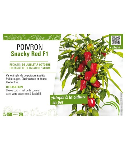 POIVRON SNACKY RED F1