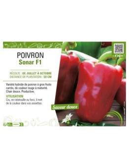 POIVRON SONAR F1