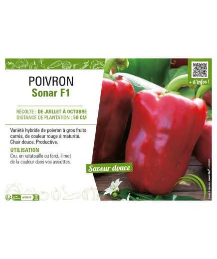 POIVRON SONAR F1