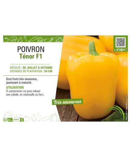 POIVRON TÉNOR F1