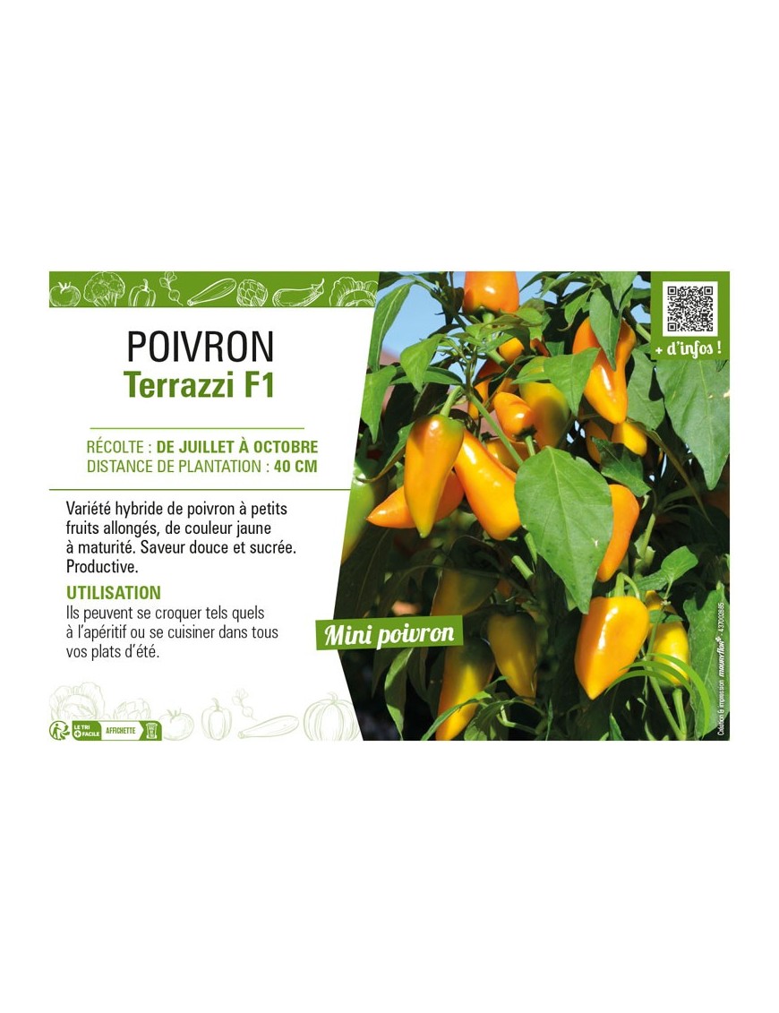 POIVRON TERRAZZI F1