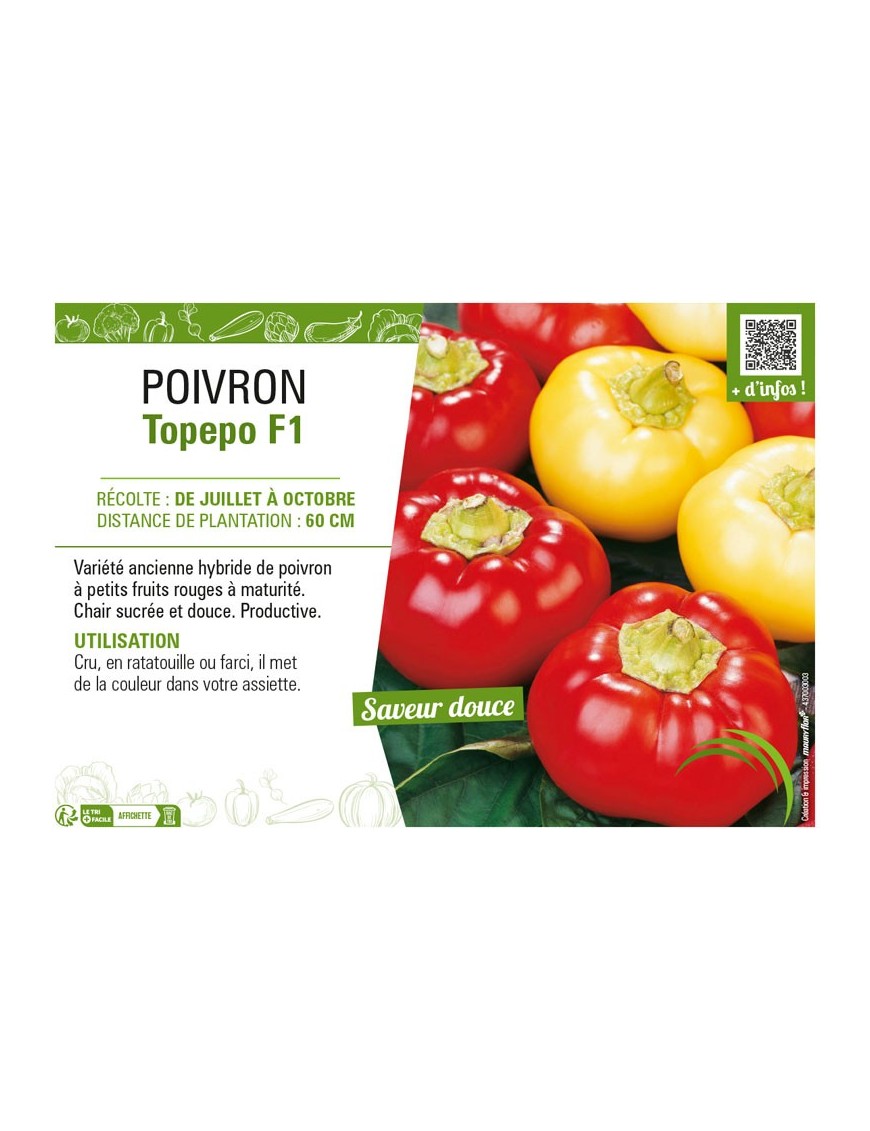 POIVRON TOPEPO F1 (ROND)