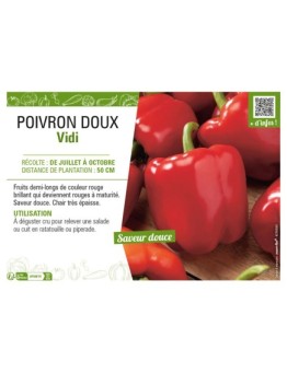 POIVTON doux Vidi