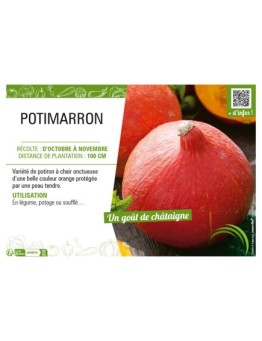 POTIMARRON