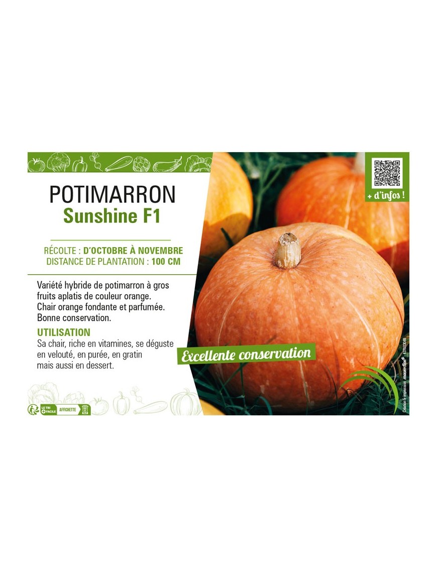 POTIMARRON SUNSHINE F1