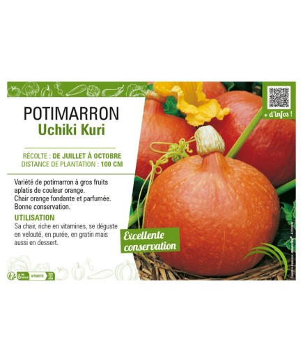 POTIMARRON UCHIKI KURI