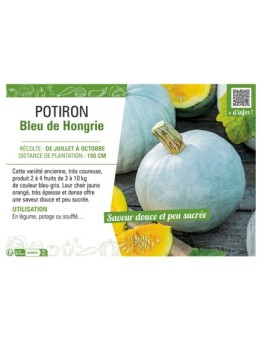 POTIRON BLEU DE HONGRIE