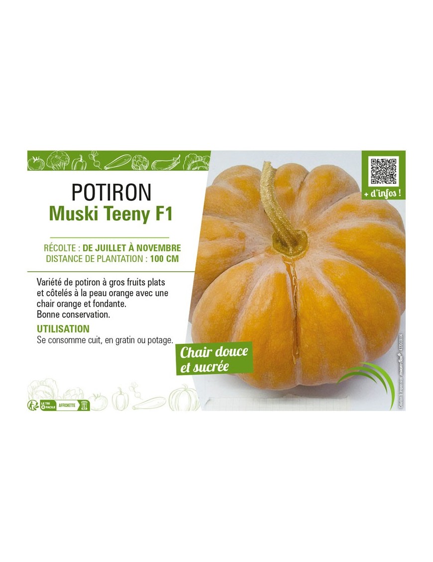 POTIRON MUSKI TEENY F1