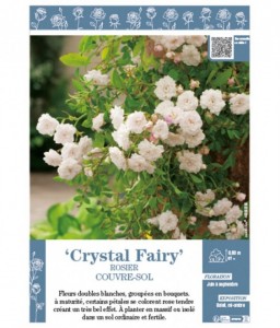 ROSIER COUVRE-SOL voir CRYSTAL FAIRY