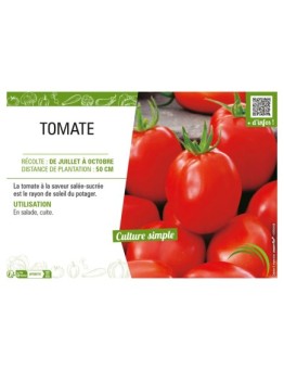 TOMATE
