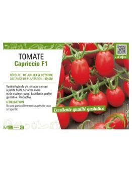 TOMATE (CERISE) CAPRICCIO F1