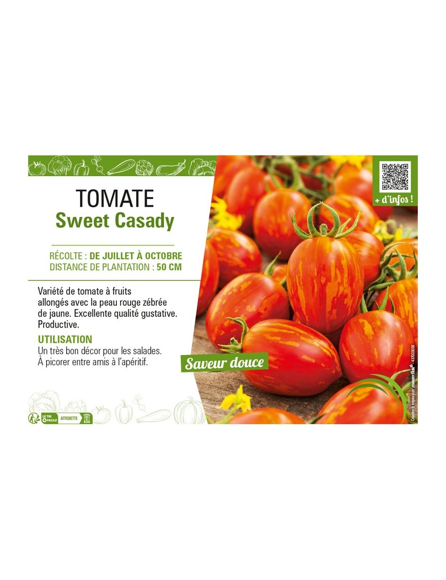 TOMATE (CERISE) SWEET CASADY