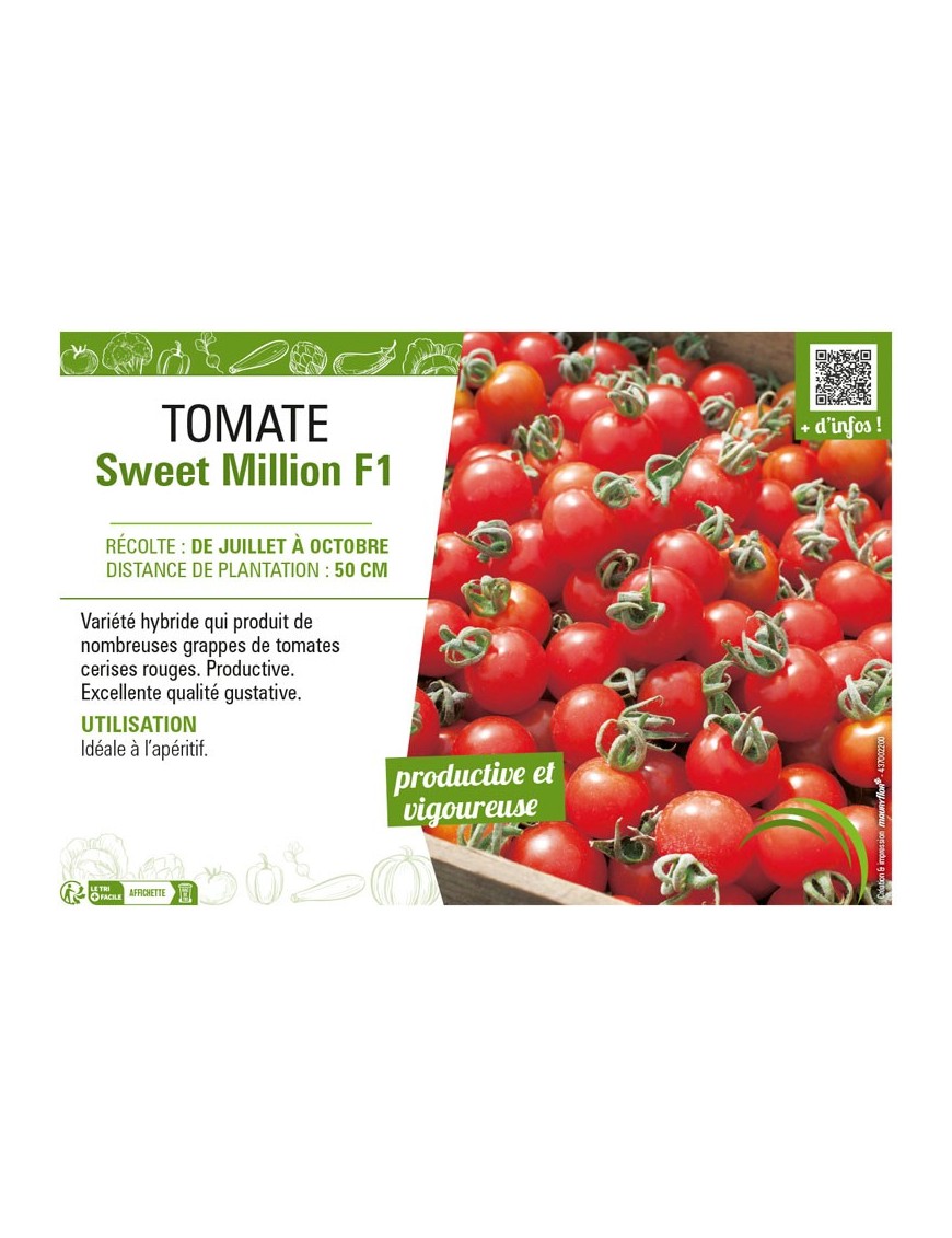 TOMATE (CERISE) SWEET MILLION F1