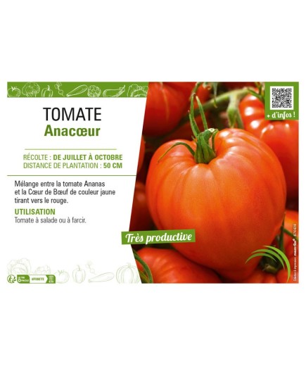 TOMATE ANACŒUR