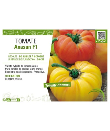TOMATE ANASUN F1