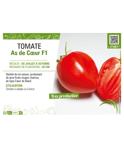TOMATE AS DE CŒUR F1