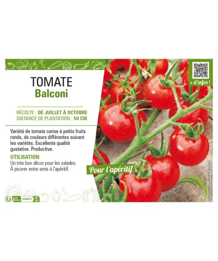 TOMATE BALCONI