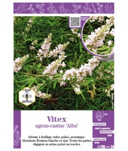 VITEX AGNUS-CASTUS ALBA (Gattilier)
