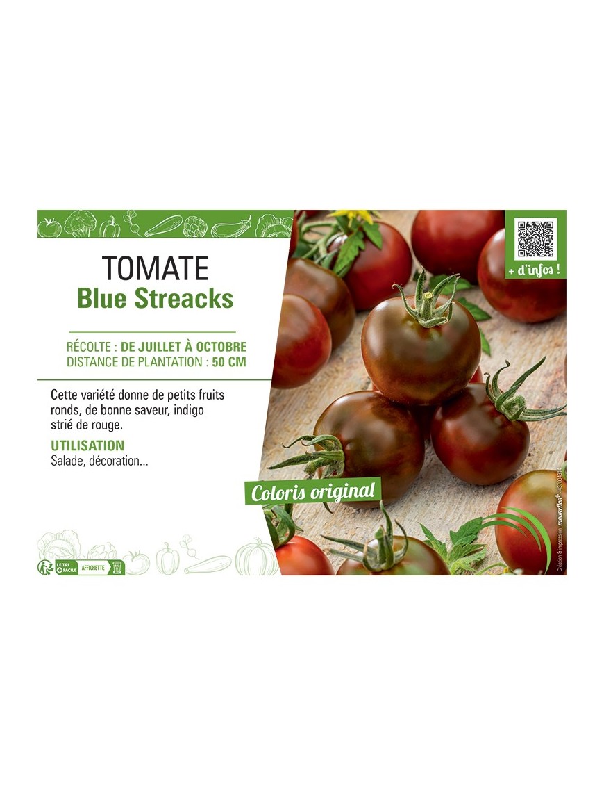 TOMATE BLUE STREACKS