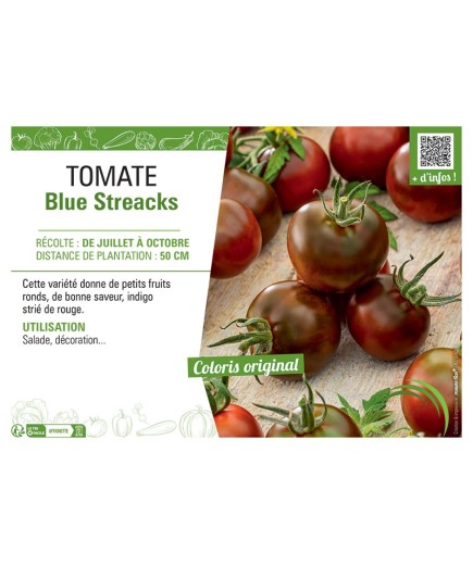 TOMATE BLUE STREACKS
