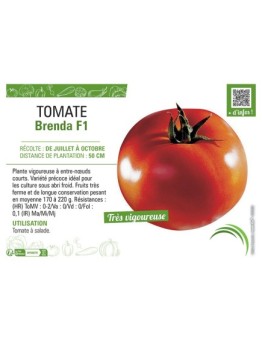 TOMATE BRENDA F1