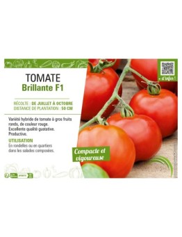 TOMATE BRILLANTE F1