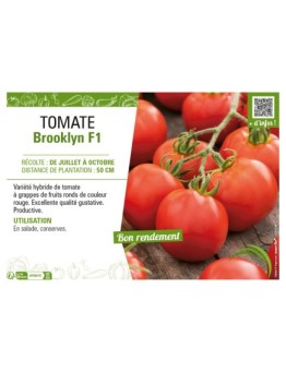 TOMATE BROOKLYN F1