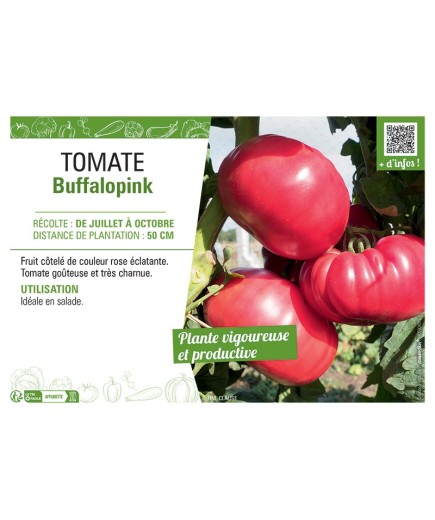 TOMATE BUFFALOPINK