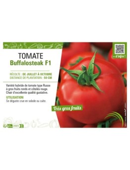 TOMATE BUFFALOSTEACK F1