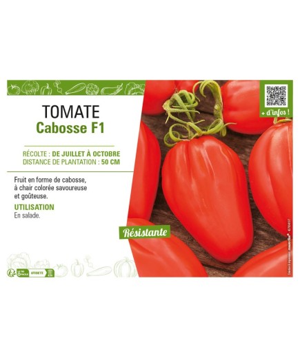 TOMATE CABOSSE F1