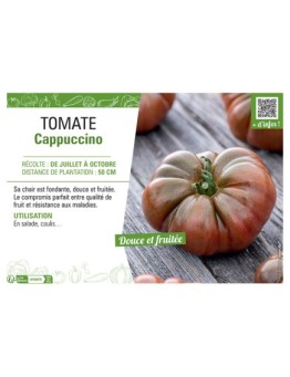 TOMATE CAPPUCINO