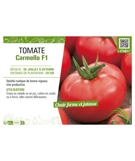 TOMATE CARMELLO F1