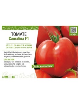 TOMATE CAURALINA F1
