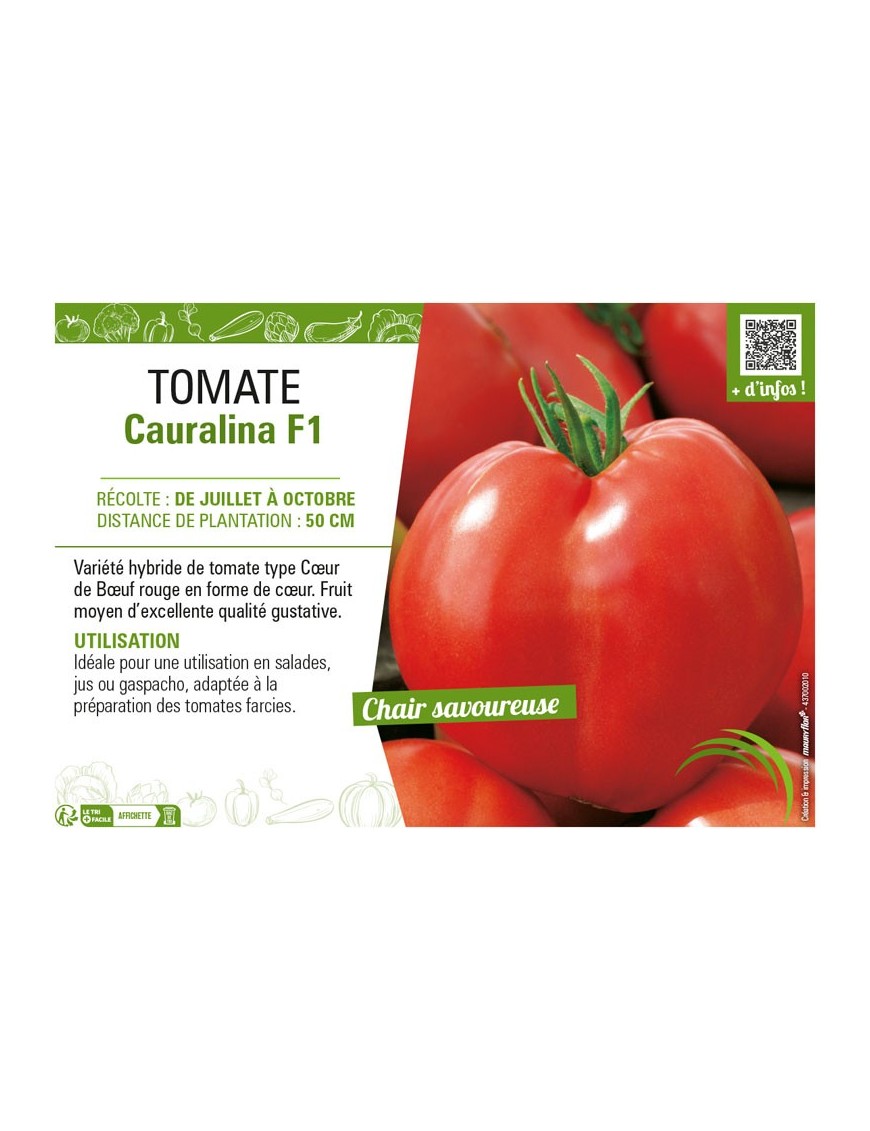 TOMATE CAURALINA F1