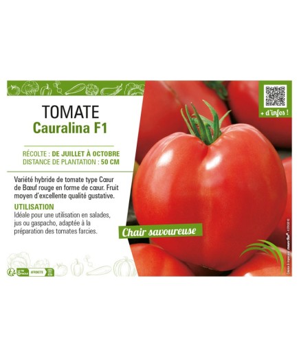 TOMATE CAURALINA F1