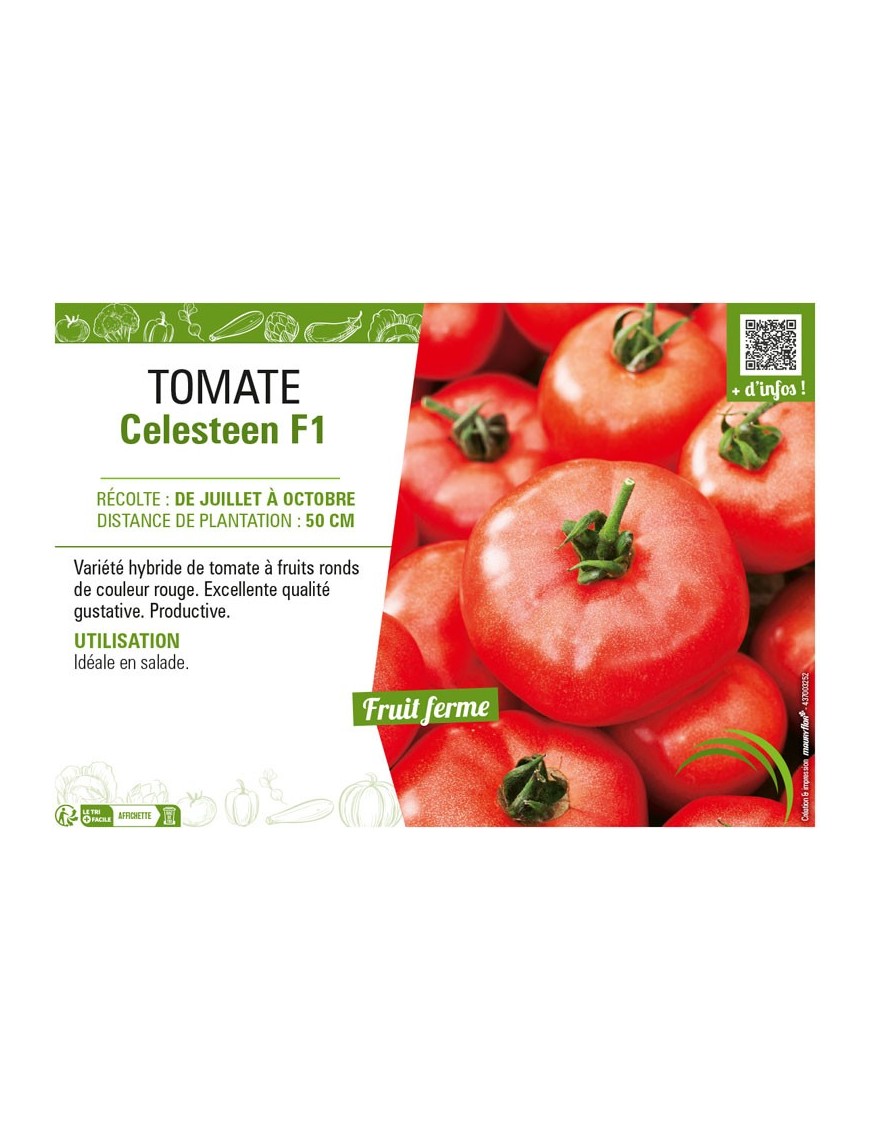 TOMATE CELESTEEN F1