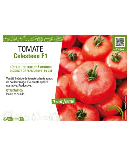 TOMATE CELESTEEN F1