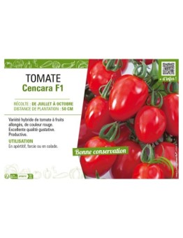TOMATE CENCARA F1